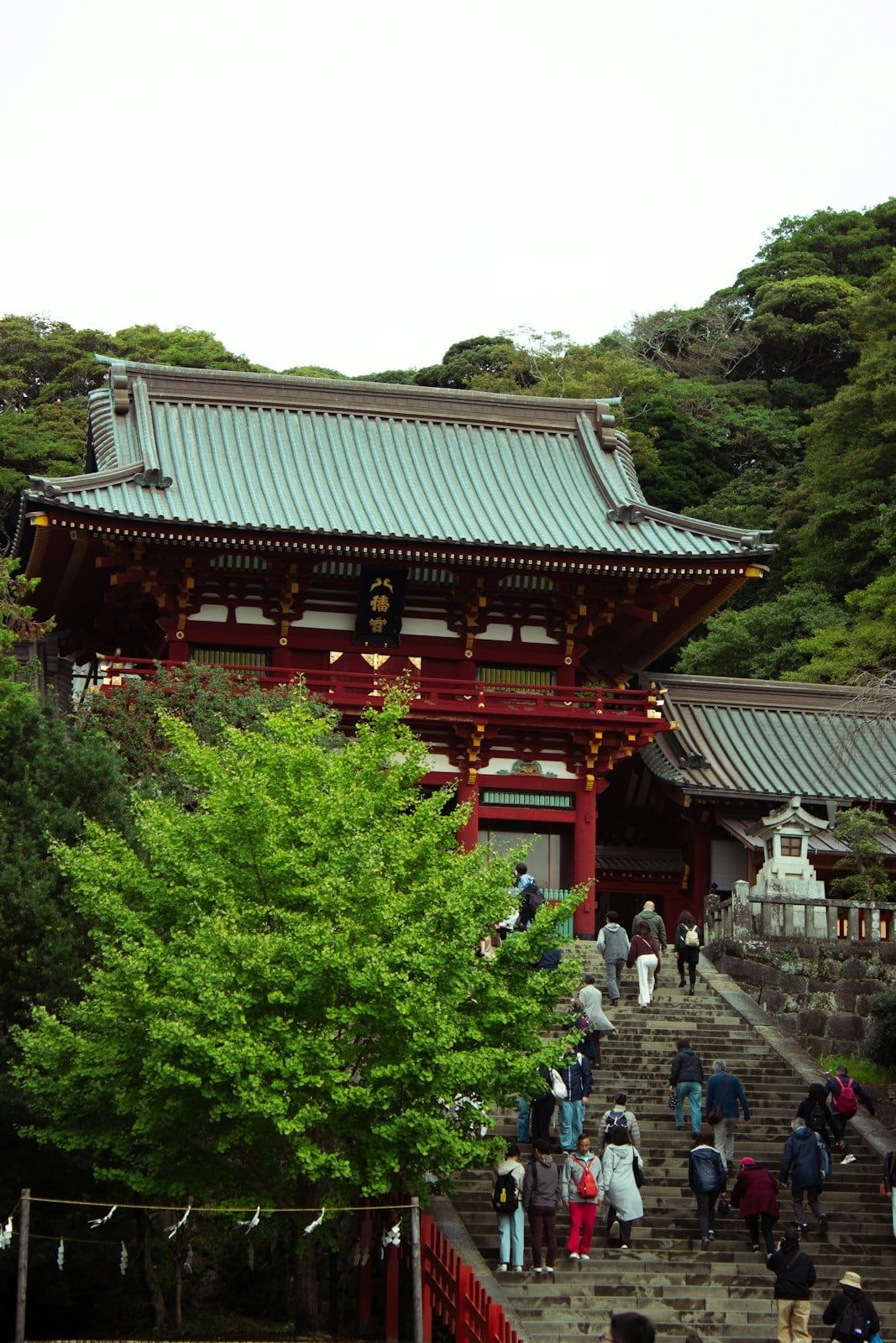 Stone steps seen from below, leading up to the red hall of Tsurugaoka Hachimangu in Kamakura
